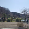 公園に入ると大池があります。