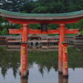 広島？そう厳島神社の鳥居です