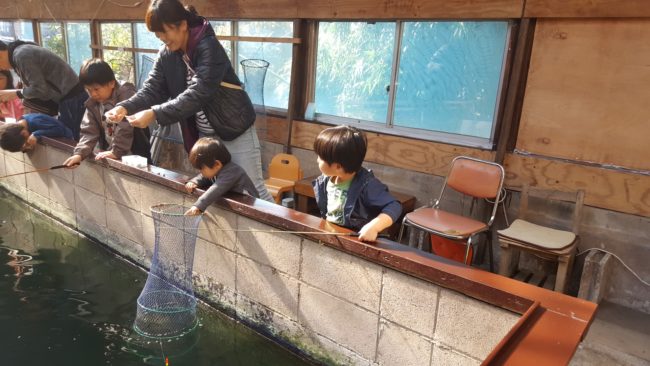 町田市　常盤つりぼりセンター　家族で釣りを楽しめる